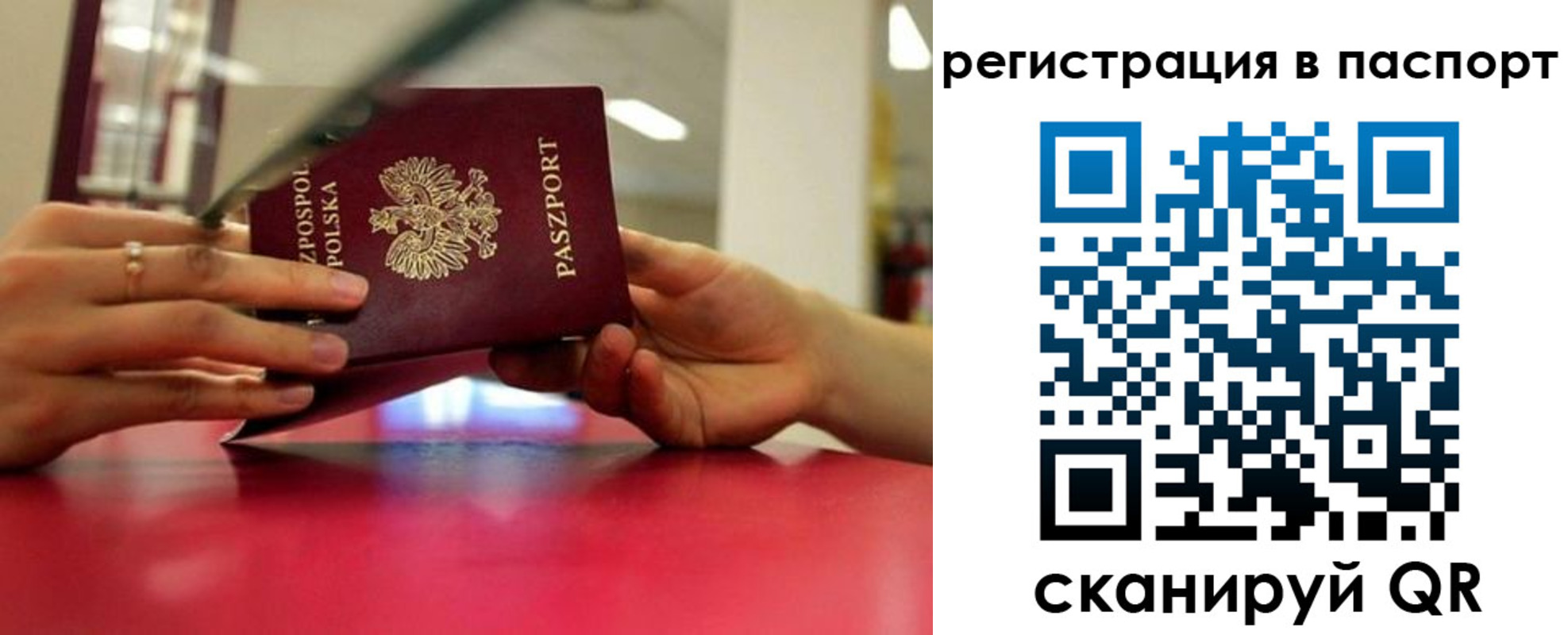 пропишу в квартире в Ермолино